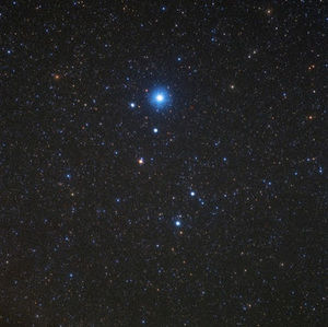 Meet your Posher, Rory